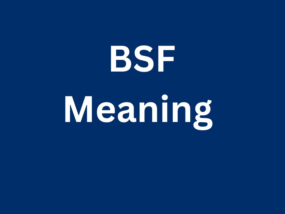 What Does BSF Mean In Texting